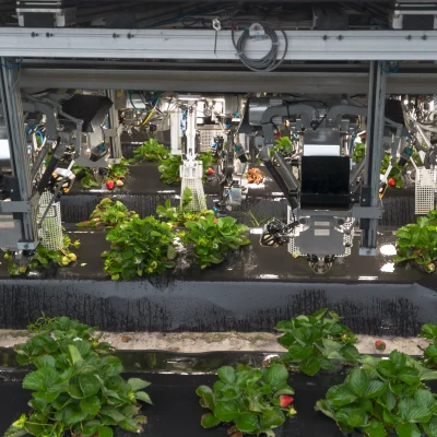 Harvest CROO Strawberry Harvester product image