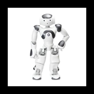 SoftBank NAO 6 product image