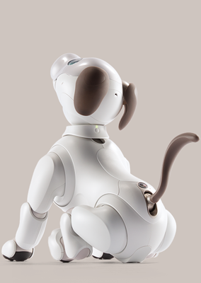 Sony Aibo product image